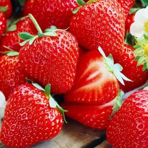 Фото товара продавца: Клубника Царица урожайная крупная