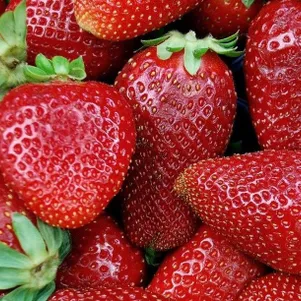 Фото товара продавца: Клубника Дэли