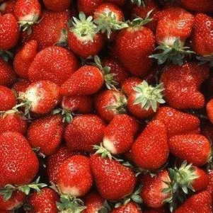 Фото товара продавца: Земляника Али-Баба ремонтантная урожайная безусая